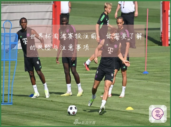 世界杯淘汰赛投注前，你需要了解的风险与注意事项
