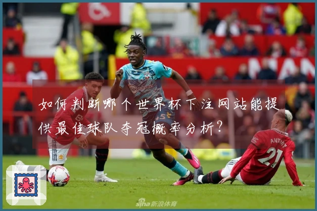 如何判断哪个世界杯下注网站能提供最佳球队夺冠概率分析？