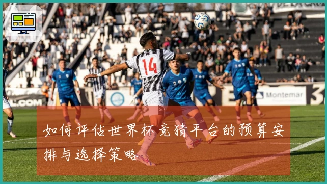 如何评估世界杯竞猜平台的预算安排与选择策略