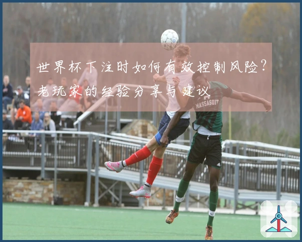 世界杯下注时如何有效控制风险？老玩家的经验分享与建议