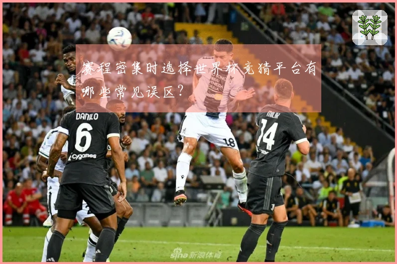 赛程密集时选择世界杯竞猜平台有哪些常见误区？