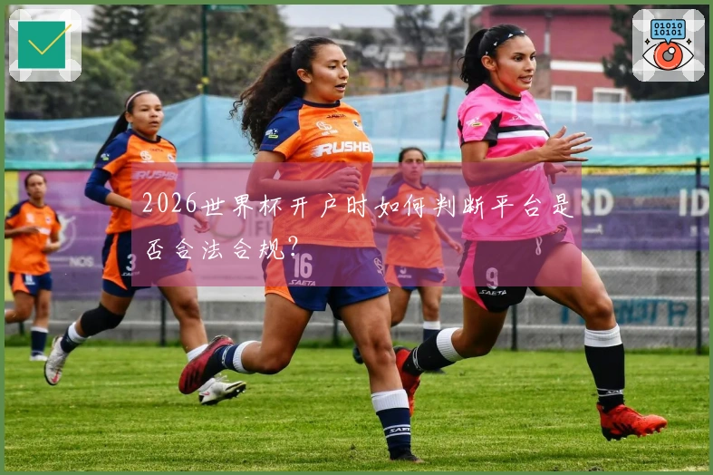 2026世界杯开户时如何判断平台是否合法合规？